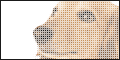̂.gif